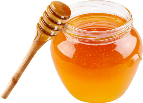 Get 20% off on Stingless Bee Honey